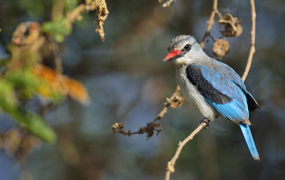 1301 Eth. Martins 3035_1